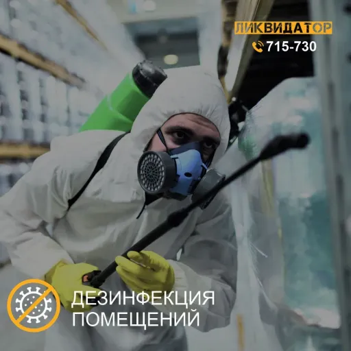 Скидка 50% для юридических лиц - Ликвидатор | Услуги и сервис | Якутск