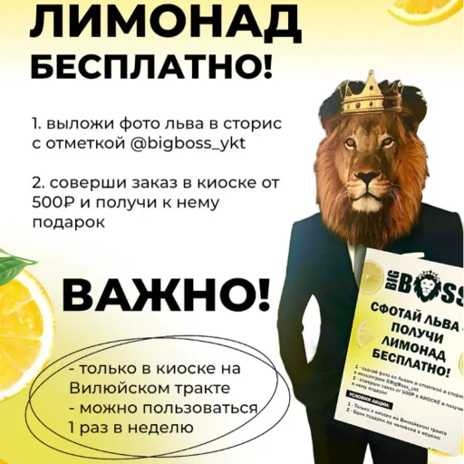 СФОТАЙ ЛЬВА — ПОЛУЧИ ЛИМОНАД! 🦁🍋 - BIG BOSS | Еда | Якутск