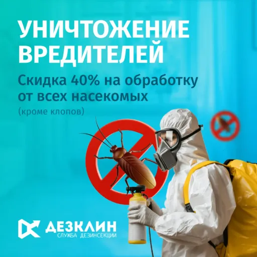 Скидка на 40% на обработку - Дезклин | Услуги и сервис | Якутск