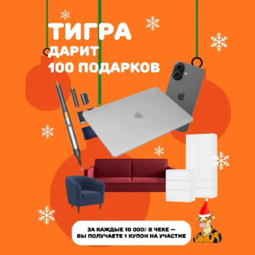 ТИГРА ДАРИТ 100 ПОДАРКОВ К НОВОМУ ГОДУ 🎄🎁 - Тигра | Для дома | Якутск