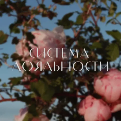 Система лояльности - Сейчастье | Цветы | Якутск